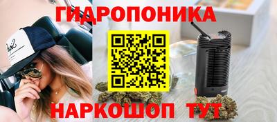стафф Абакан