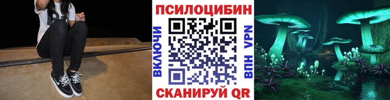 Галлюциногенные грибы Psilocybine cubensis  гидра tor  Анжеро-Судженск 
