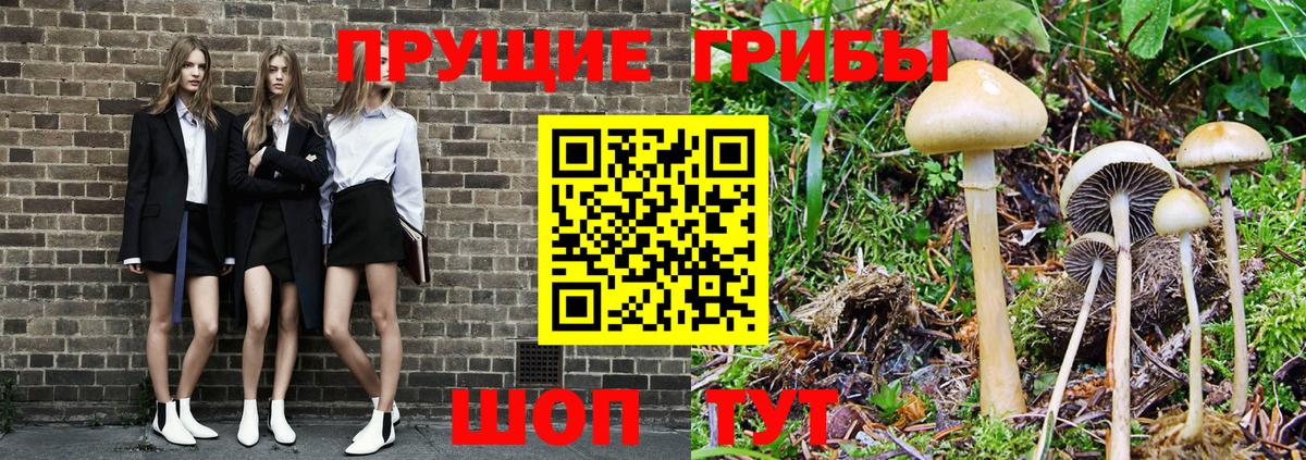 Анжеро-Судженск  Галлюциногенные грибы ЛСД  Вход с VPN 