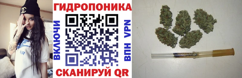 Каннабис AK-47  купить  цена  Анжеро-Судженск 